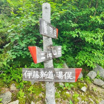 伊藤新道が歩ける強者に、いつか俺はなる！