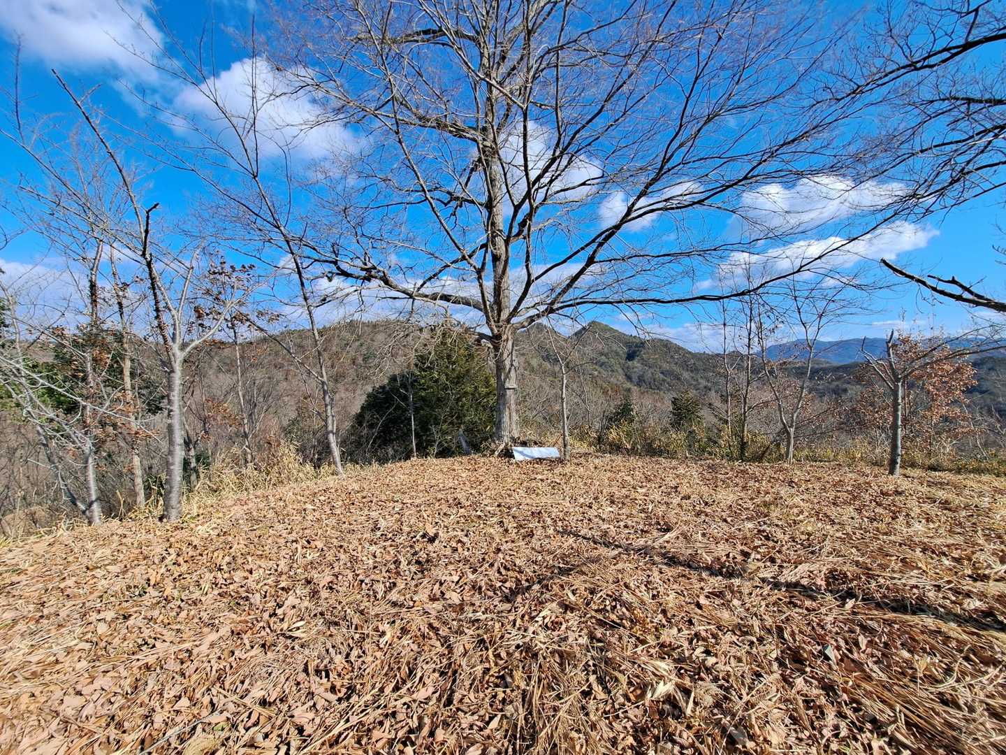 360度ビュー✌️