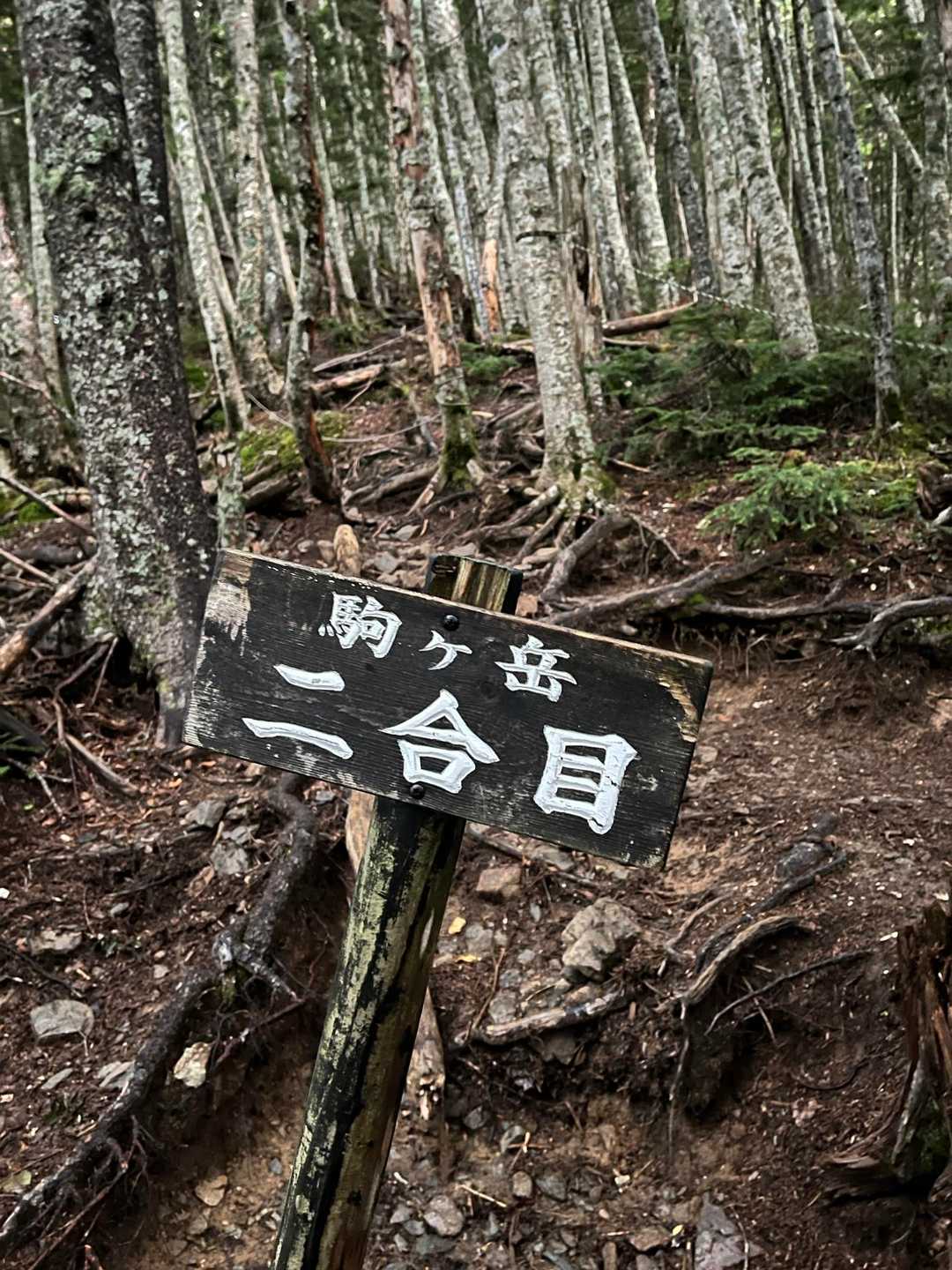 やっと明るくなってホッとした頃