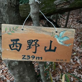 ありましたー
満足です！
京都の山のいいところは、素敵な山頂標識があることです