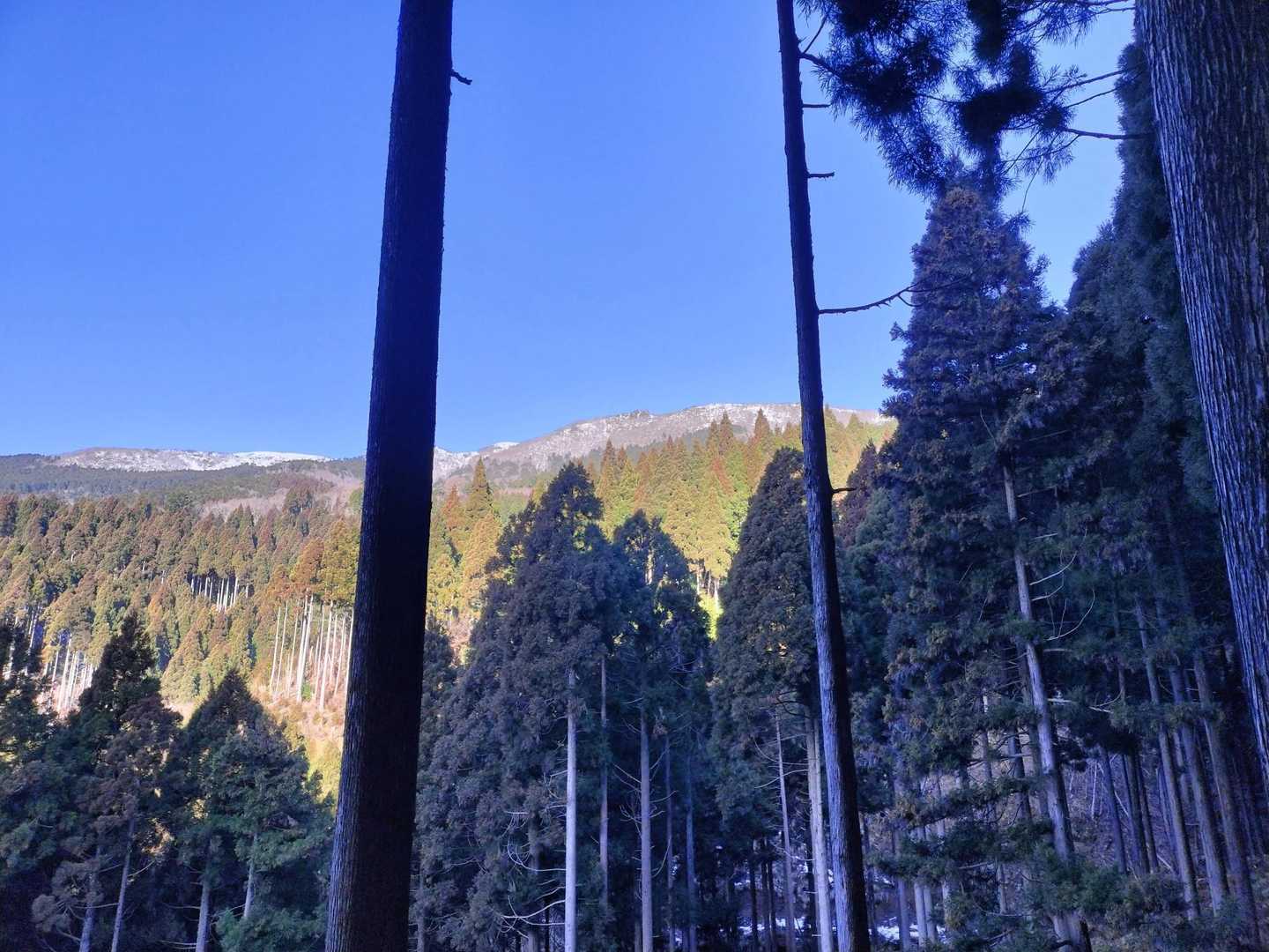 忘れちゃいけないフレームショット📷️ココから下山するまで景色の無い道をひたすら歩く🚶