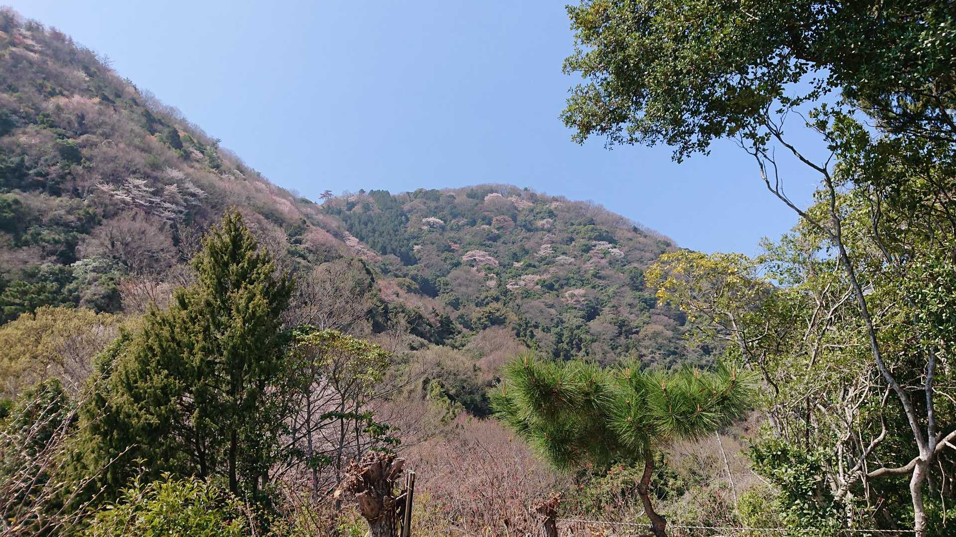 展望岩へ
志保山