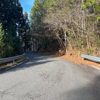 デコにアザができてしまった

急いで駐車場戻るため車道を帰ります