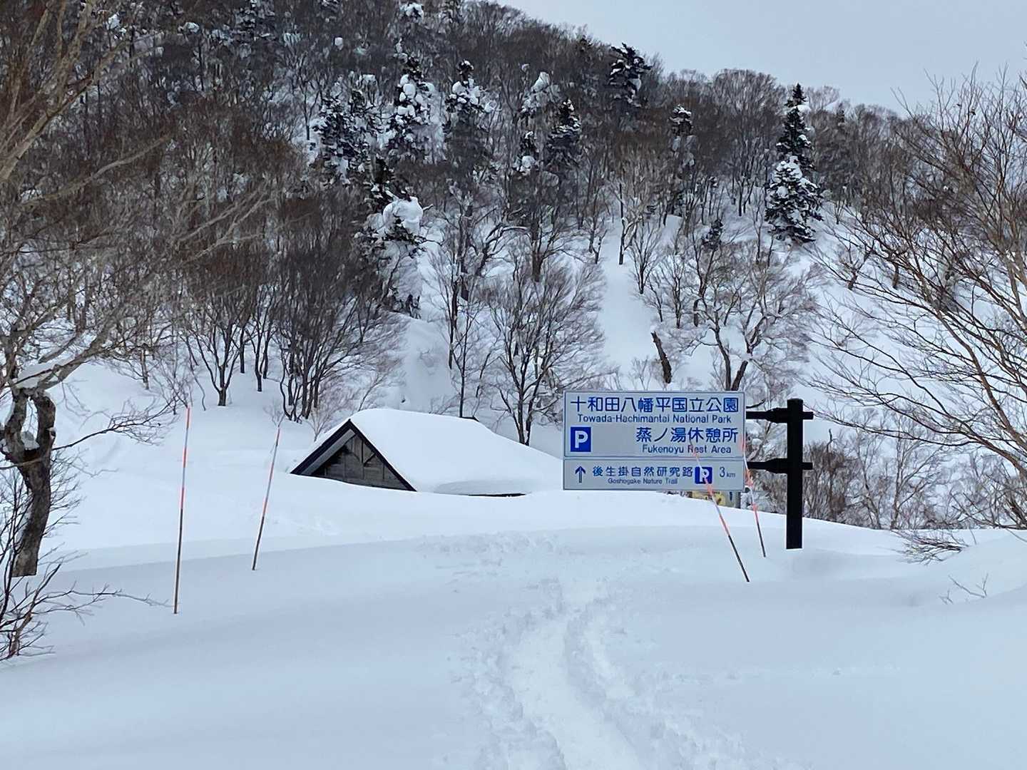 すごい雪です
