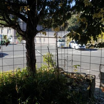 獣避けゲートの前は温泉の駐車場🅿️ラッキー✌️