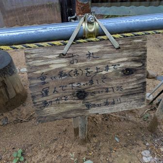 登山口の掲示板の裏にユニークな