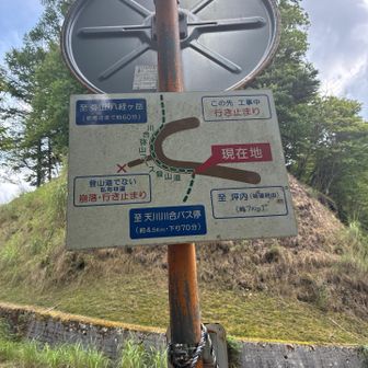 林道に出ました。