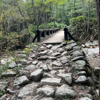 立派な橋があるので安心です。