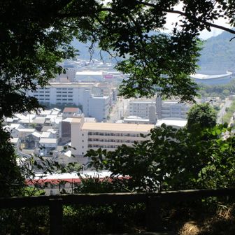 木の枝の間からの眺望