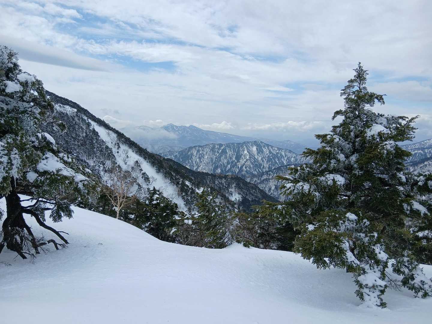 黒滝山登山口-三石山-サル山-山藤山-黒滝山-西村山-大長 往復コースの写真