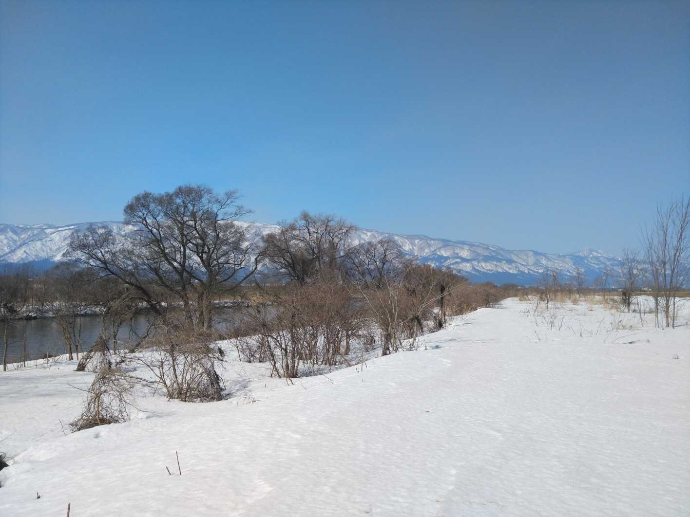 葉山がキレイにみえました