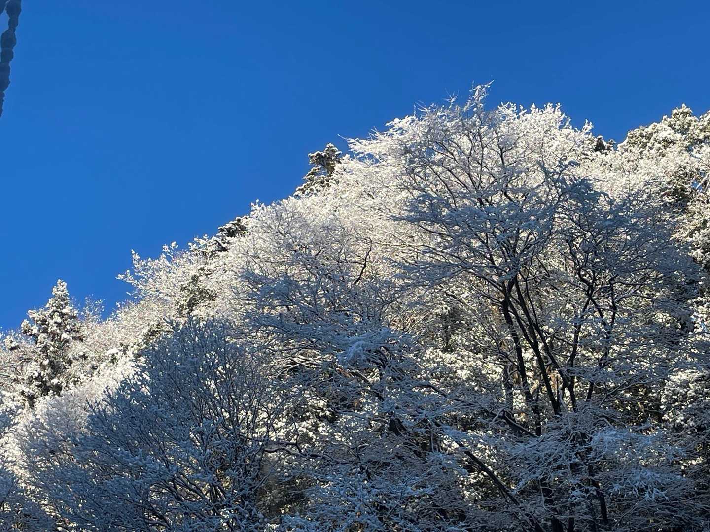 青空と雪　キレイだわー