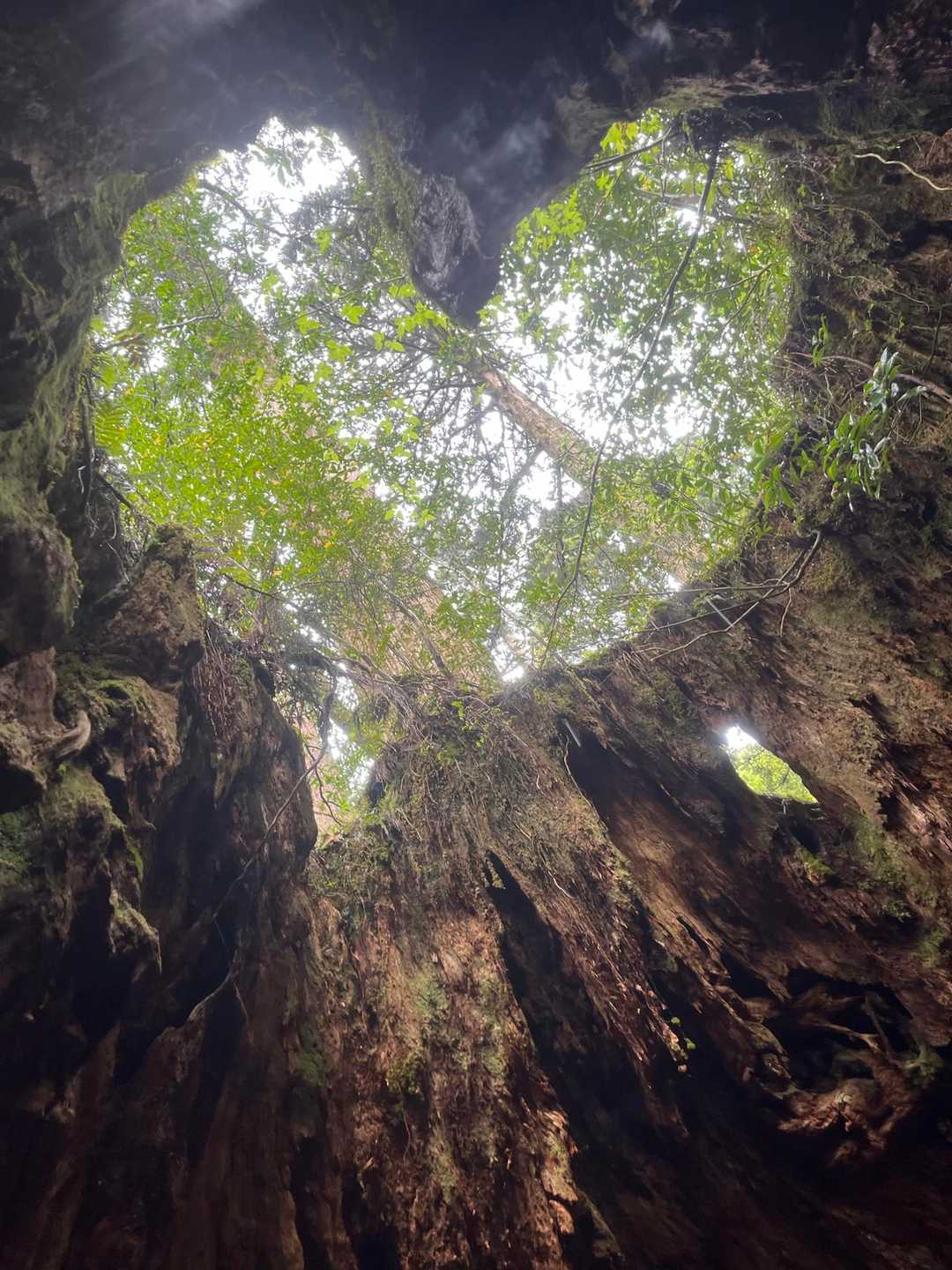 ハートを綺麗に撮るには、中の祠の正面あたりがペスポジ📸