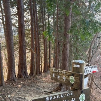 釜山神社と塞神峠の分岐