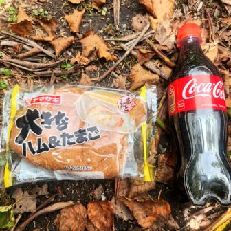 前回の反省を活かし？お昼だけでコーラを1本消費してみることに

血糖値を爆上げしたらちょっと昼寝