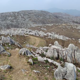 ここでUターンしてきれいな道を戻るか、このまま進んで少しだけ山道っぽい道を進むか。
少し悩みましたが、冠山の山頂を通り抜けて先に進むことにしました。
奥に見える地獄台には、そう遠くないうちに行けると思います。