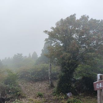 ガスが立ち込めました
