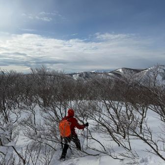 来た道を降りる。必要体力も所要時間も登りと全然違い、2時間で下りきる。
実はまた登山口辺りでほぼ脱水状態でバテてあまり動けなくなっていた。最後までお湯を多少残したどちょっと持参量が少なかったかも。序盤アミアミで暑くて大量に汗をかいたのがそもそもの失敗。