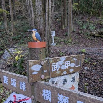 メリア