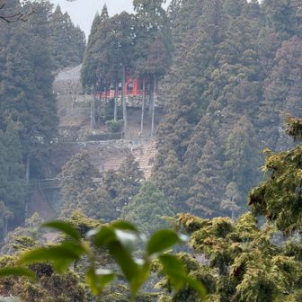 比叡山延暦寺が見えてきた！
写メを拡大すると歩きスマホをしてる人が写ってる👍