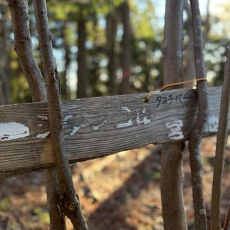 2座目　タコチバ山
どんな意味があるのかな？蛸千葉　田子千葉　etc