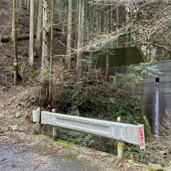 水ヶ峠への登山口
右へ登ると水ヶ峠方面