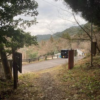 無事下山　天気は晴れたり曇ったりで、樹林帯は風も無く穏やかでした🙆‍♂️