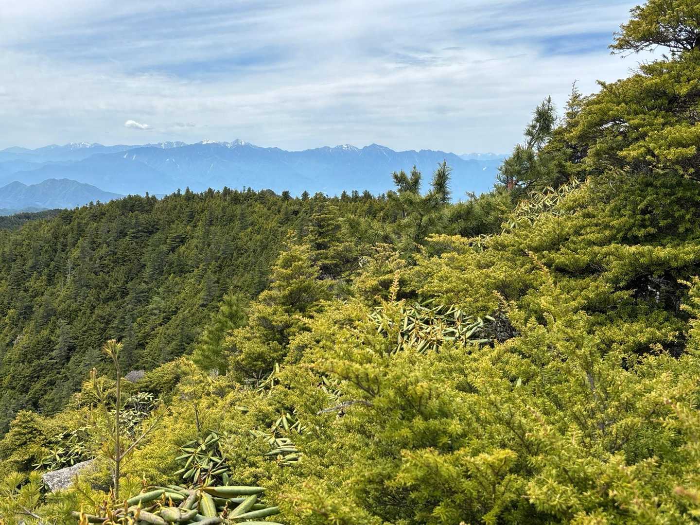 八丁平-小川山 往復コースの写真