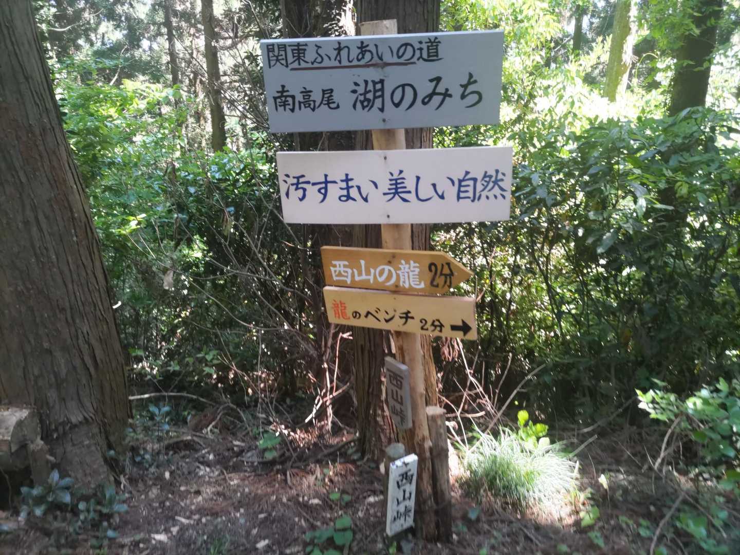 うるさい‼️
やり過ぎ、南高尾山のボランティアの方々、程よくね🤗