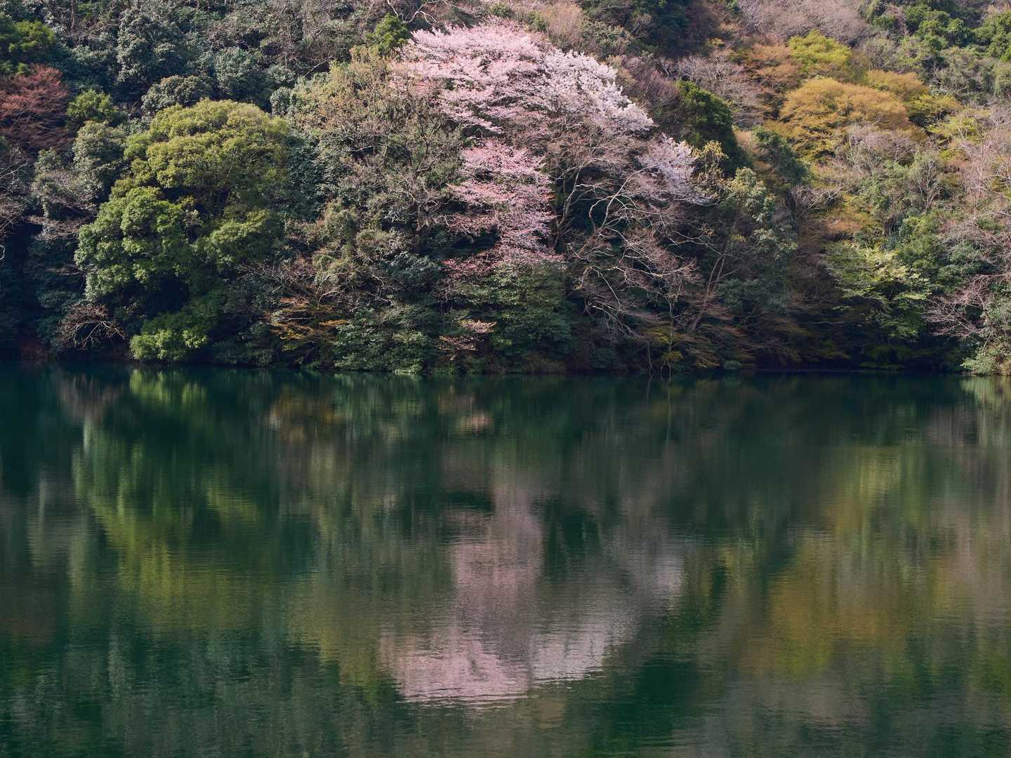新神戸駅-滝山城跡登山口-上野道登山口 縦走コースの写真
