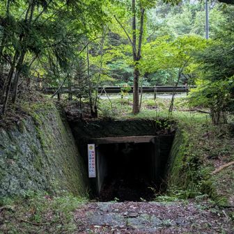 動画でも見たけど怖いトンネル🥲
中は最近よく聞くアンダーパスよろしく最近の雨が溜まっていたけど、木が渡してあったので濡れずに渡れました☺️