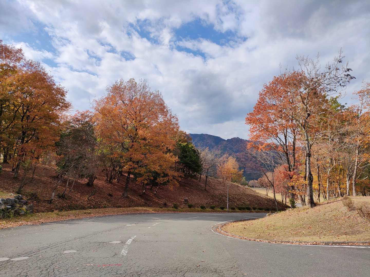 畑バス停-横谷峠-荒谷峠-須川峠-滝谷ノ頭-蛇谷ヶ峰 縦走コースの写真