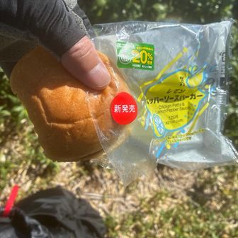 また食べてから思いだしたヒロミバーガー🍔ニューバージョン