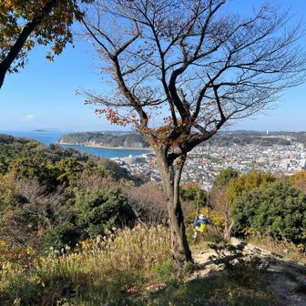 きっもちよーい！最高！海に向かって大きくこげます♪