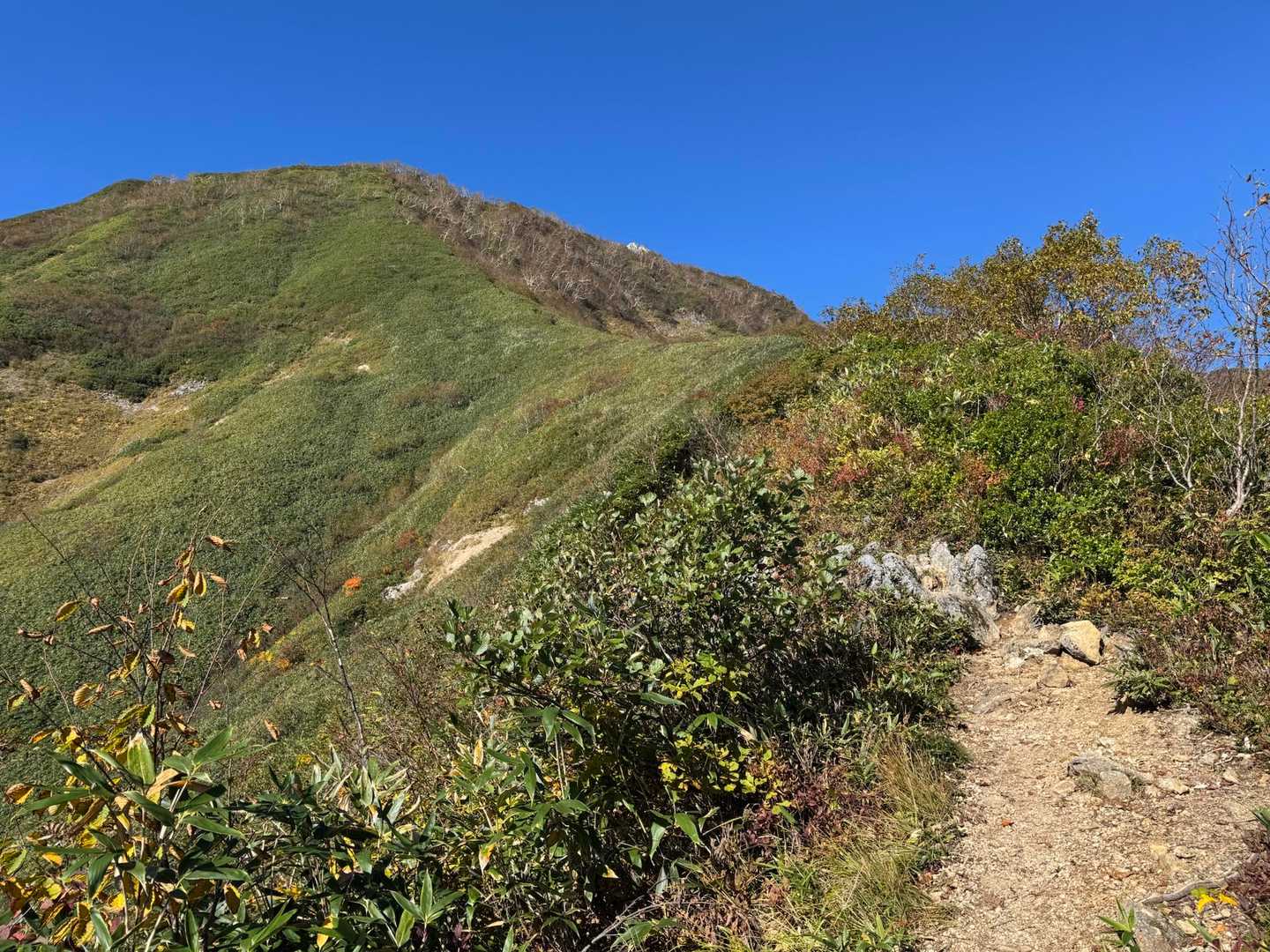高妻山⛰️💙
見た目では判らない超急登だよ💪