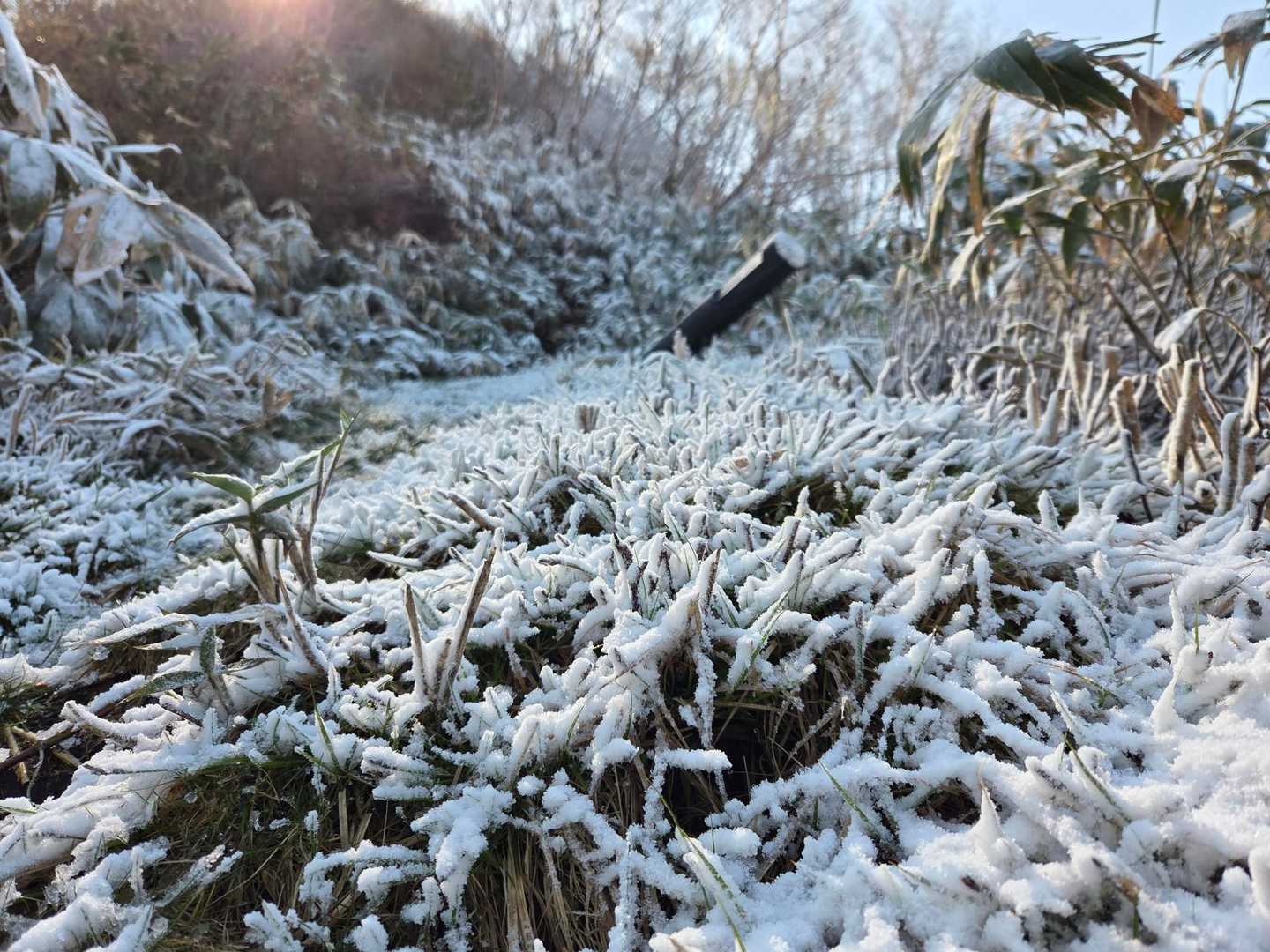 昨晩、雪が降ったようで部分的にこんな感じです