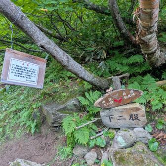 旧道と新道の分岐
登りは旧道を使ってプチ沢登りの渡渉を楽しみます😁