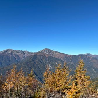 青空と南アルプスの山並み。カラマツが色づき始め