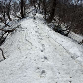 ズボズボ中蒜山へ