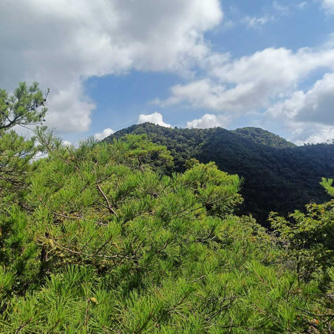 千丈寺山が向こうに見えて来たよ⛰️