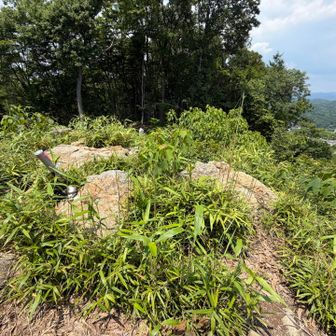 古城山山頂