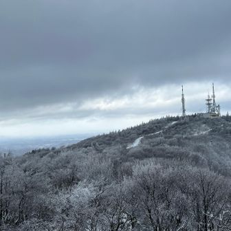 山頂へ向かいます