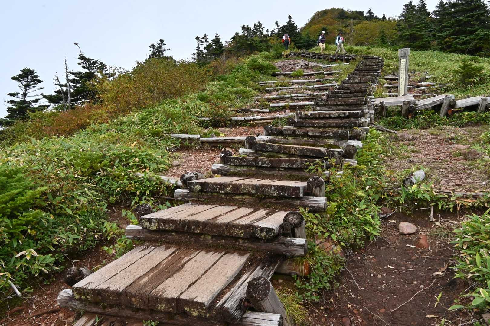 木道出てきた、あと少し
ズボンの裾はどーろどろ