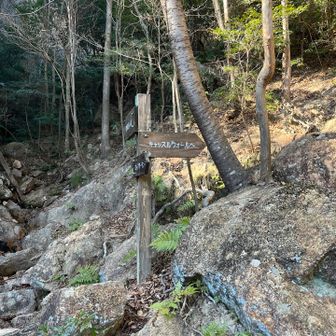 分岐に戻ってきました