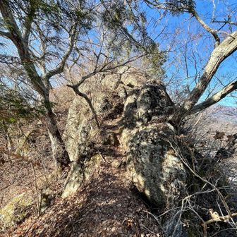 御前山から来ると
菊花山直下はこんな感じ