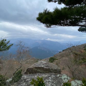 風も強く吹いてました