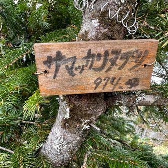 しれっと付いている標識