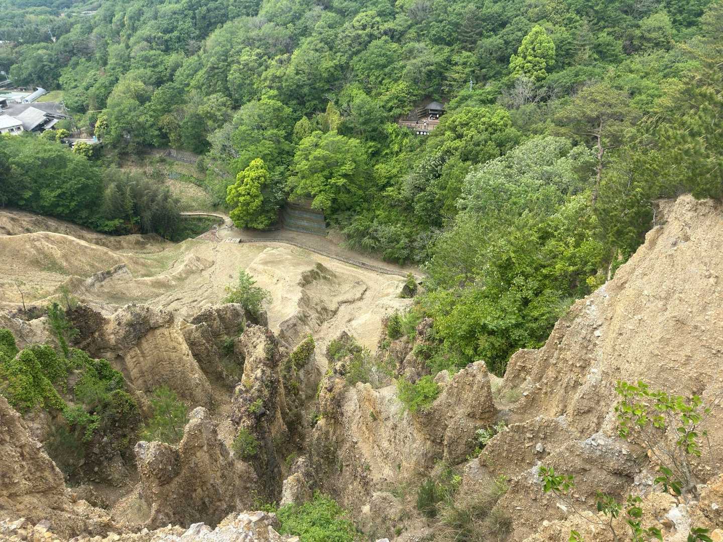 高歩頂山-波濤嶽 往復コースの写真