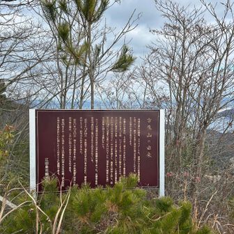 こういうのちゃんと理解できるようになりたい