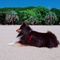 やまやま